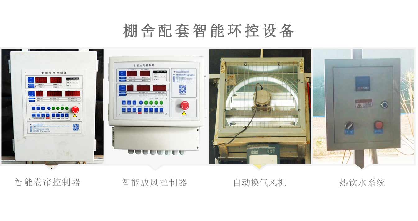1cbac319dc70f9fda298c2aae6bd29f6_6386278620848087602346315.jpg 1cbac319dc70f9fda298c2aae6bd29f6_6386278620848087602346315.jpg