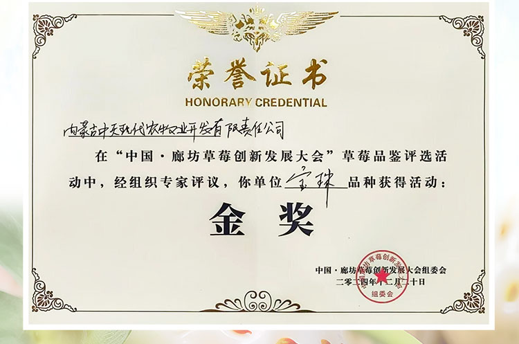 草莓1920網(wǎng)50像素2025年3月12日網(wǎng)頁(yè)_03.jpg