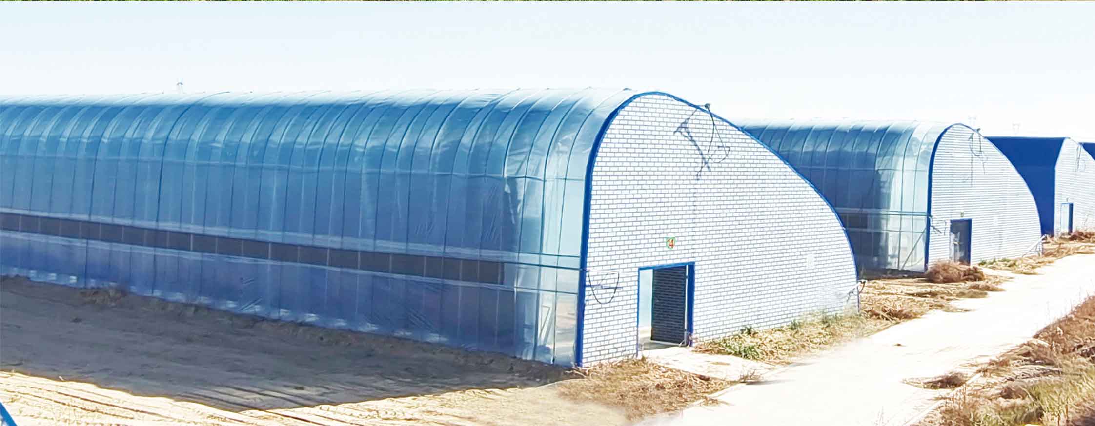 2、冬室夏棚網(wǎng)頁_10.jpg