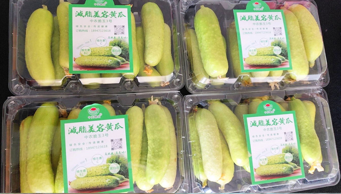 自治區綠色優質果蔬展銷中心psd-恢復的_18.jpg